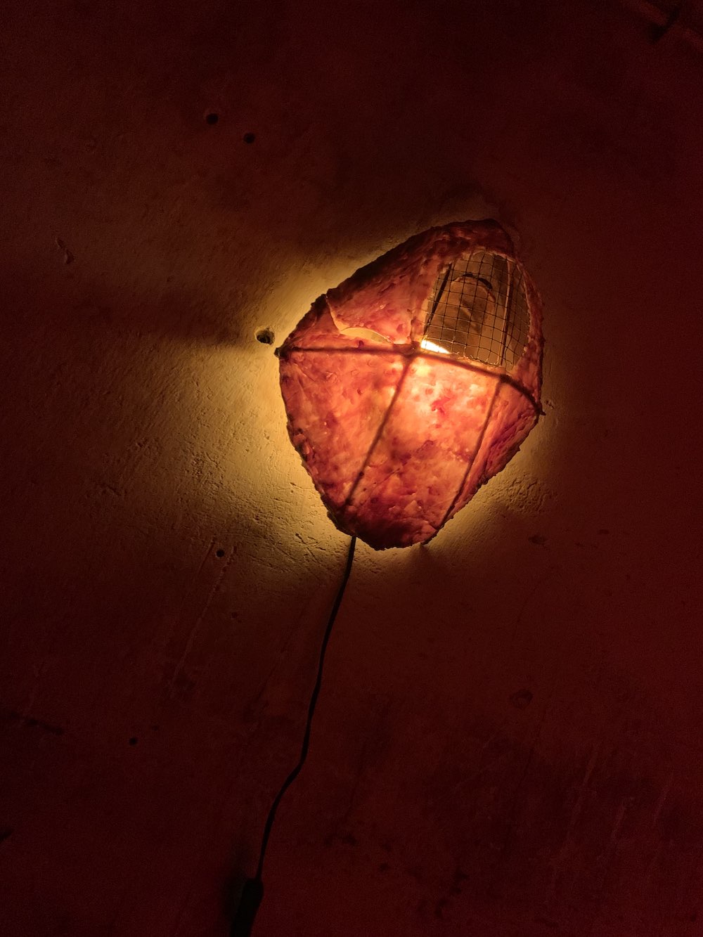 One Night in Hell, Jared Madere Amadeus Vogelsang