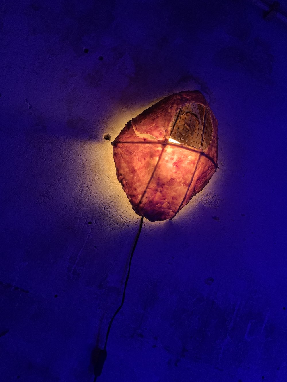 One Night in Hell, Jared Madere Amadeus Vogelsang