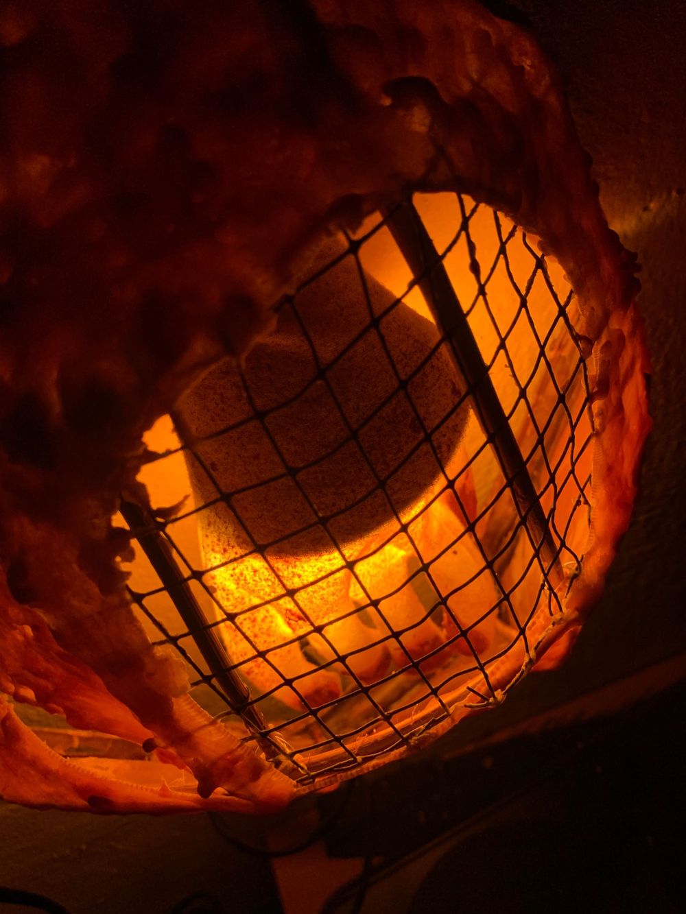 One Night in Hell, Jared Madere Amadeus Vogelsang